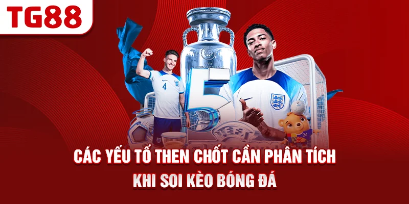 Các yếu tố then chốt cần phân tích khi soi kèo bóng đá