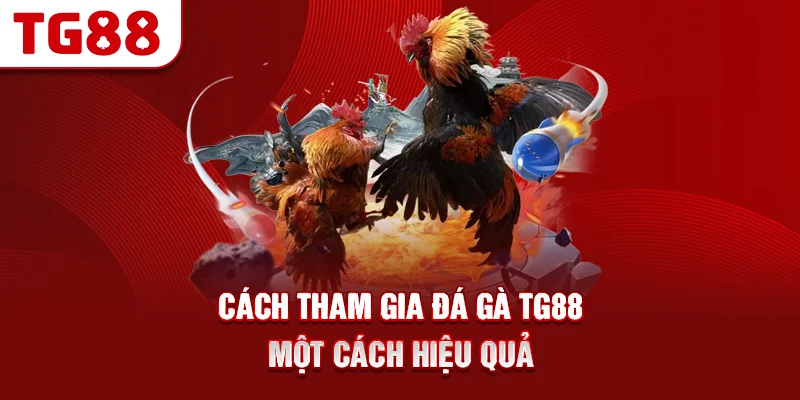Cách Tham Gia Đá Gà TG88 Một Cách Hiệu Quả