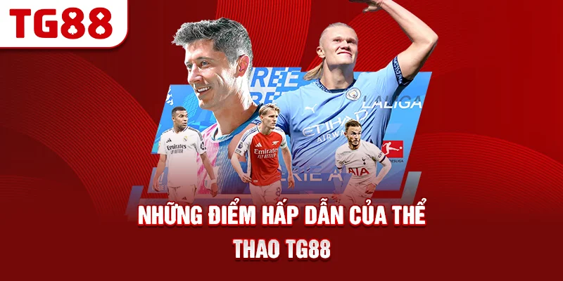 Những Điểm Hấp Dẫn Của Thể Thao TG88